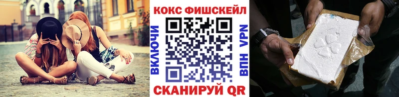 COCAIN Fish Scale  MEGA ссылки  Удачный 