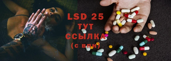 PSILOCYBIN Кодинск