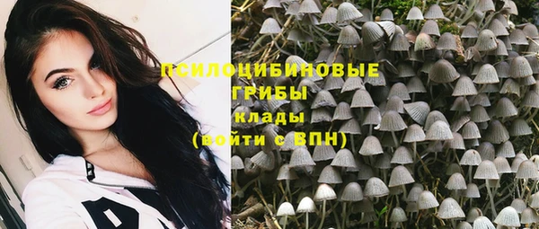 винт Снежинск
