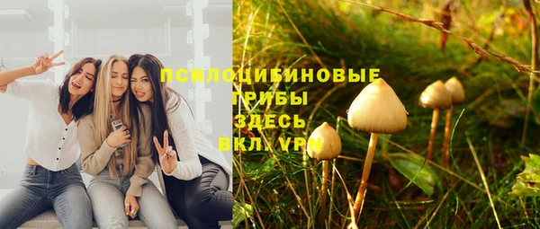 a pvp Семилуки